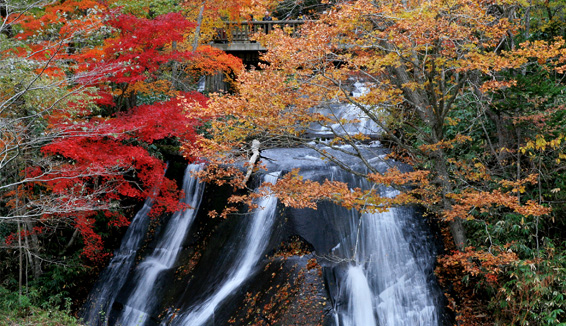 白扇の滝・ラルマナイの滝・三段の滝／紅葉観賞の写真