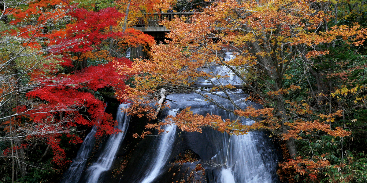 A waterfall with a dignified air, suggestive of Japanese style gardens imgae