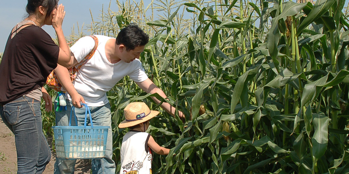 Yoshida Farm main image