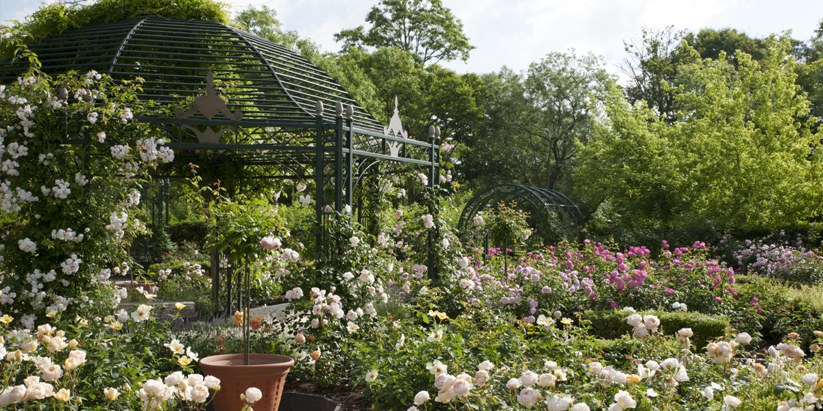 An English-style garden with 1000 kinds of flowers and plants blooming each season imgae