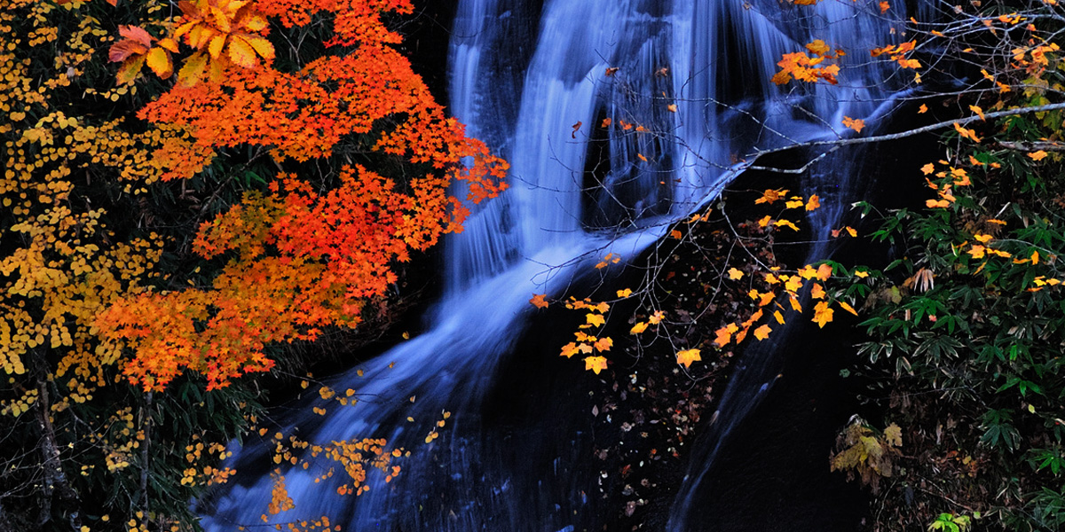 Autumn Leaves, Lake Eniwa, Hot Springs – Autumn Half-Day Course