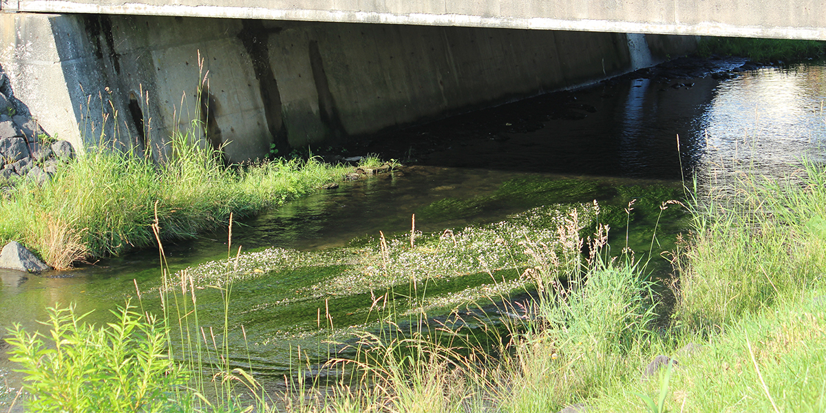 Moizari River・Seseragi Waterwayのメイン写真