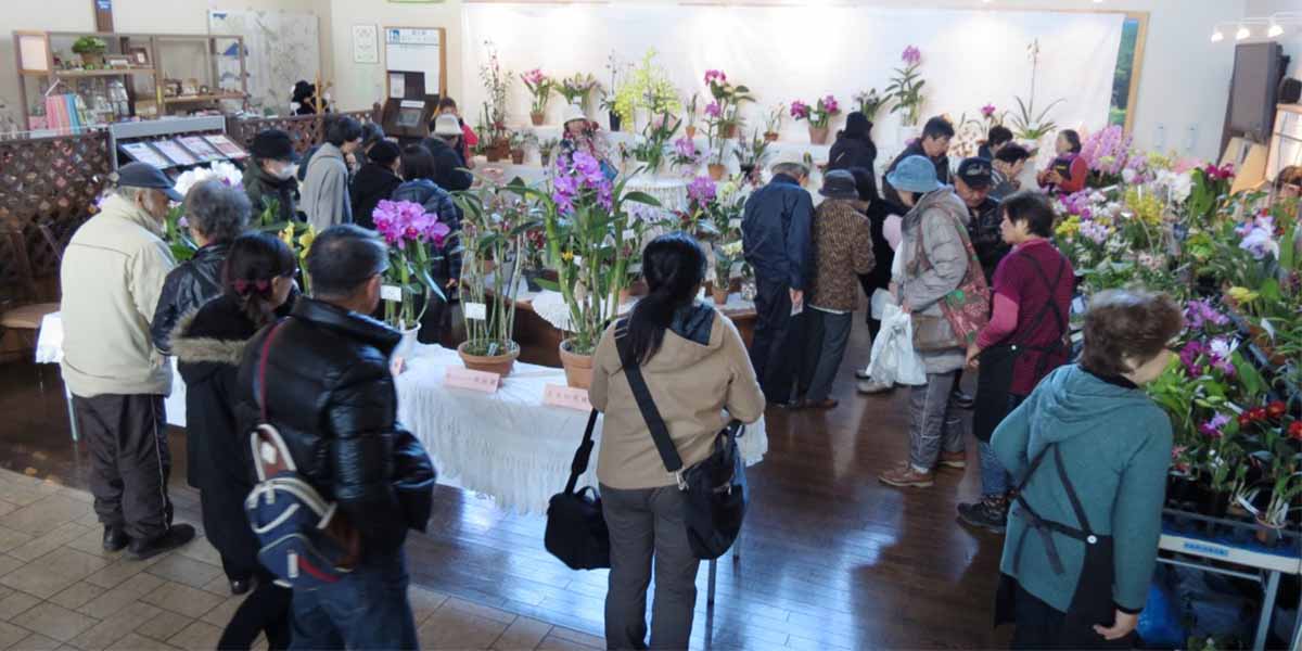 Hana Road Eniwa Orchid Festival in Spring 2018 main image